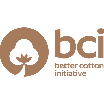 BCI-New-Logo-2-scaled